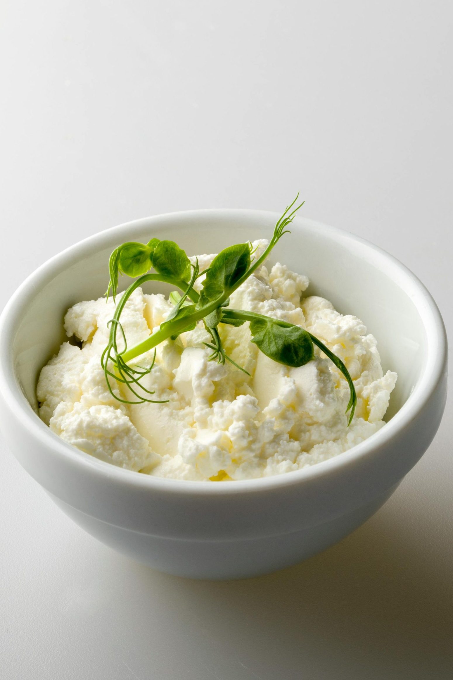 Bowl of homemade cheese ricotta style